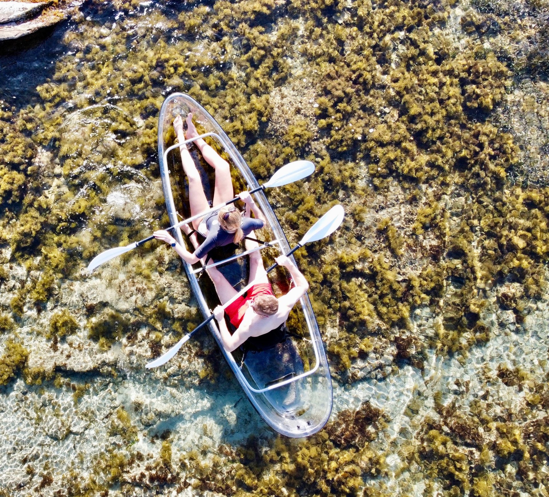 Excursion en paddle transparent