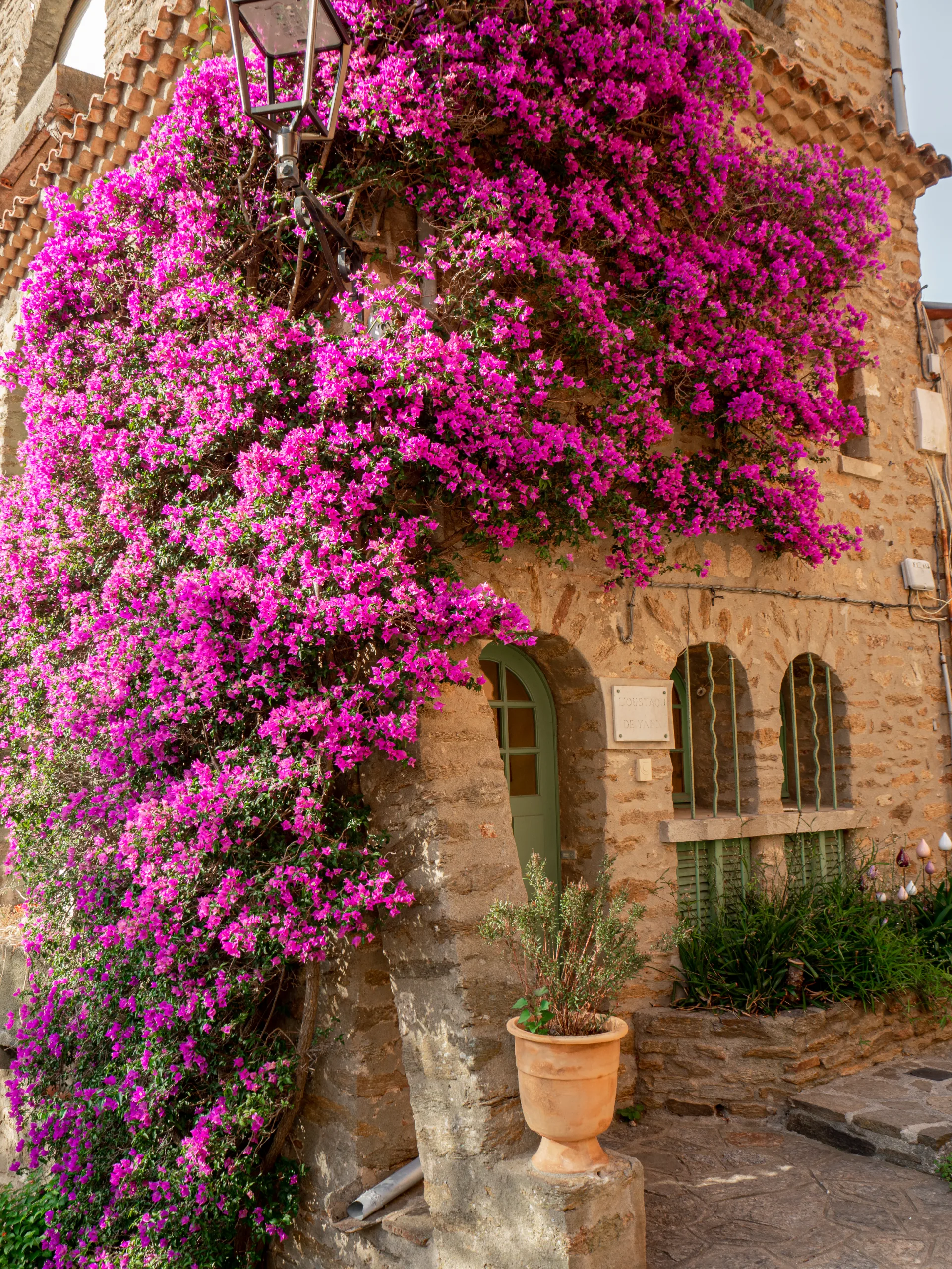 Village fleuri de Bormes les Mimosas