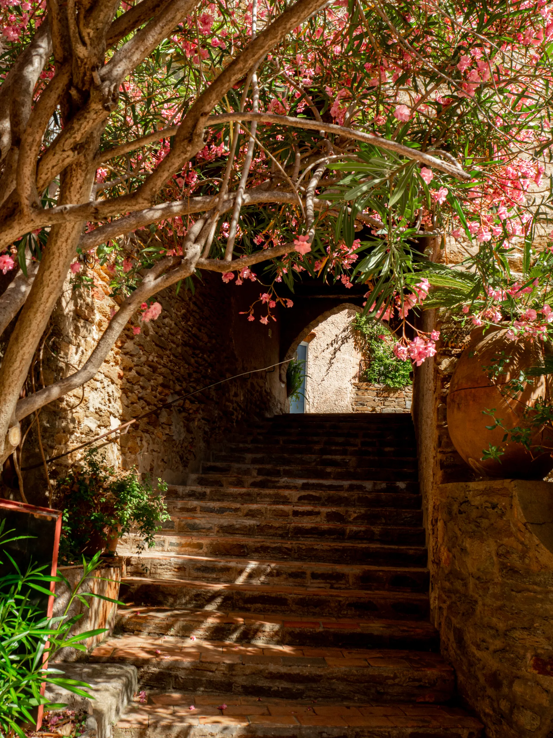 Village fleuri de Bormes les Mimosas