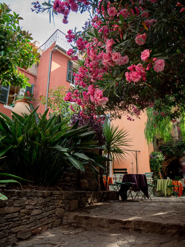 Village fleuri de Bormes les Mimosas