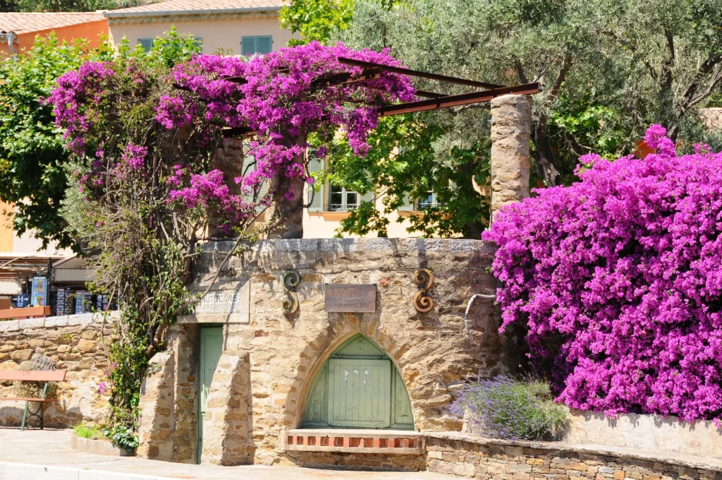 La grotte fleurie de Bormes les Mimosas