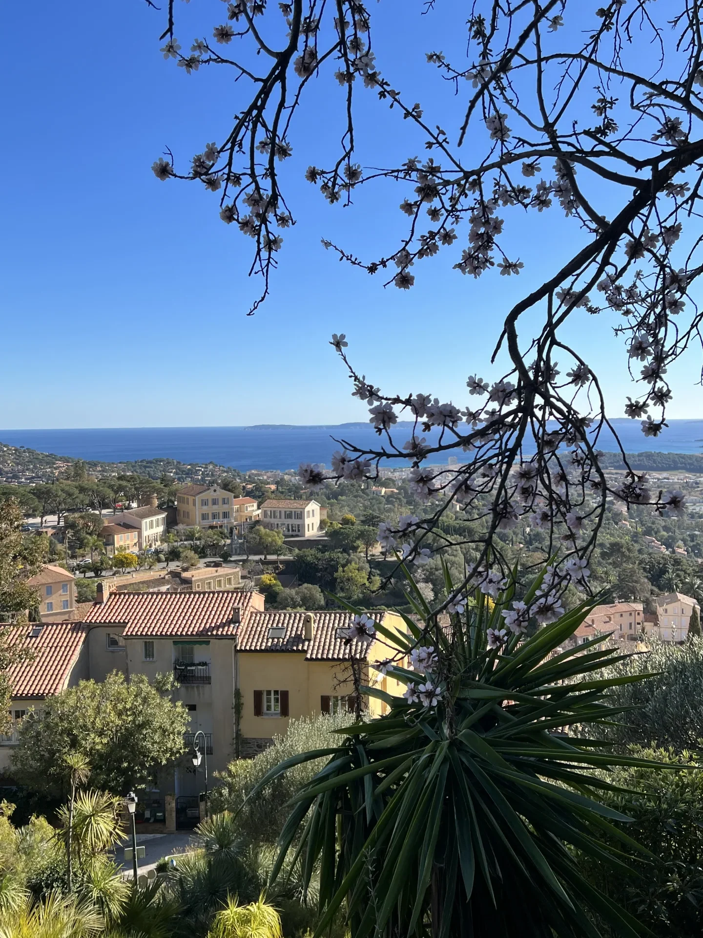 Vue du château de Bormes les Mimosas