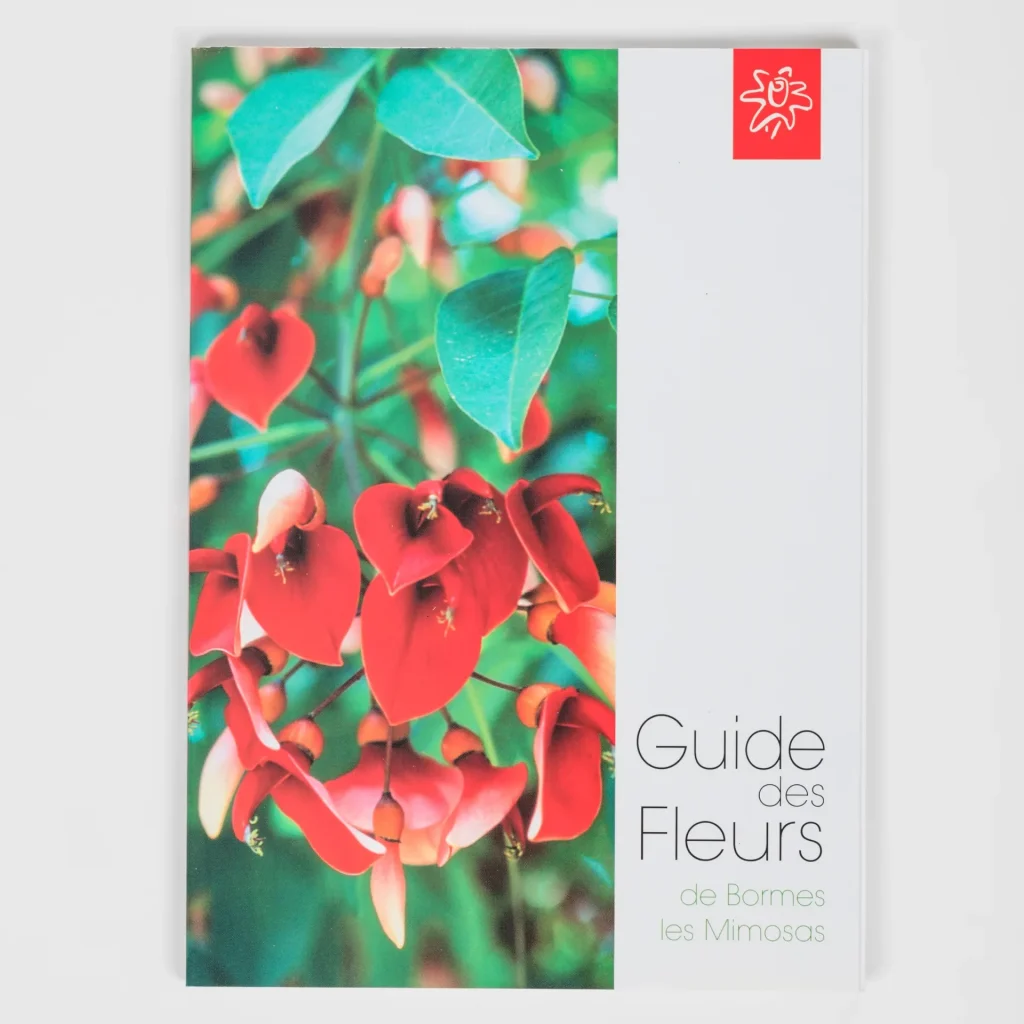 Guide des fleurs Bormes les Mimosas