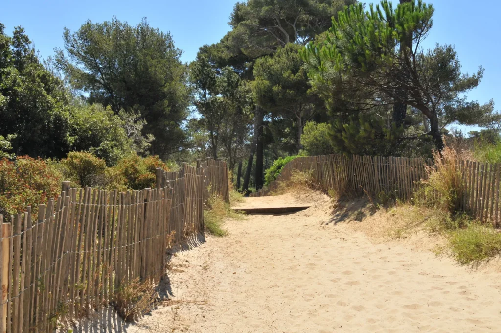 Pique-niquer à Bormes les Mimosas