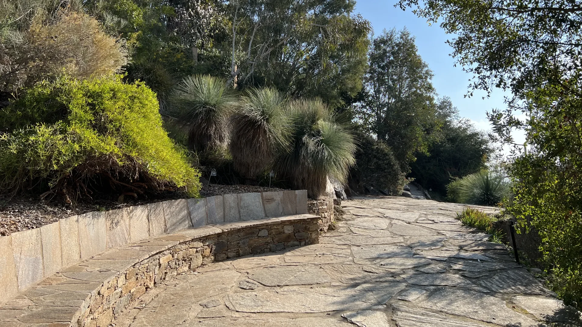 Parc Gonzalez Bormes les Mimosas