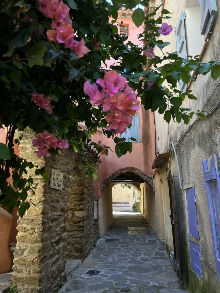 Ruelle fleurie Bormes les Mimosas