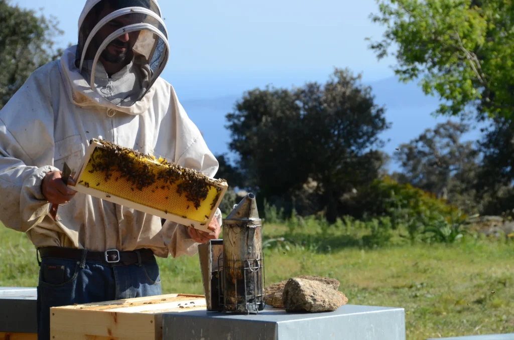 La Butinerie Bormes les Mimosas