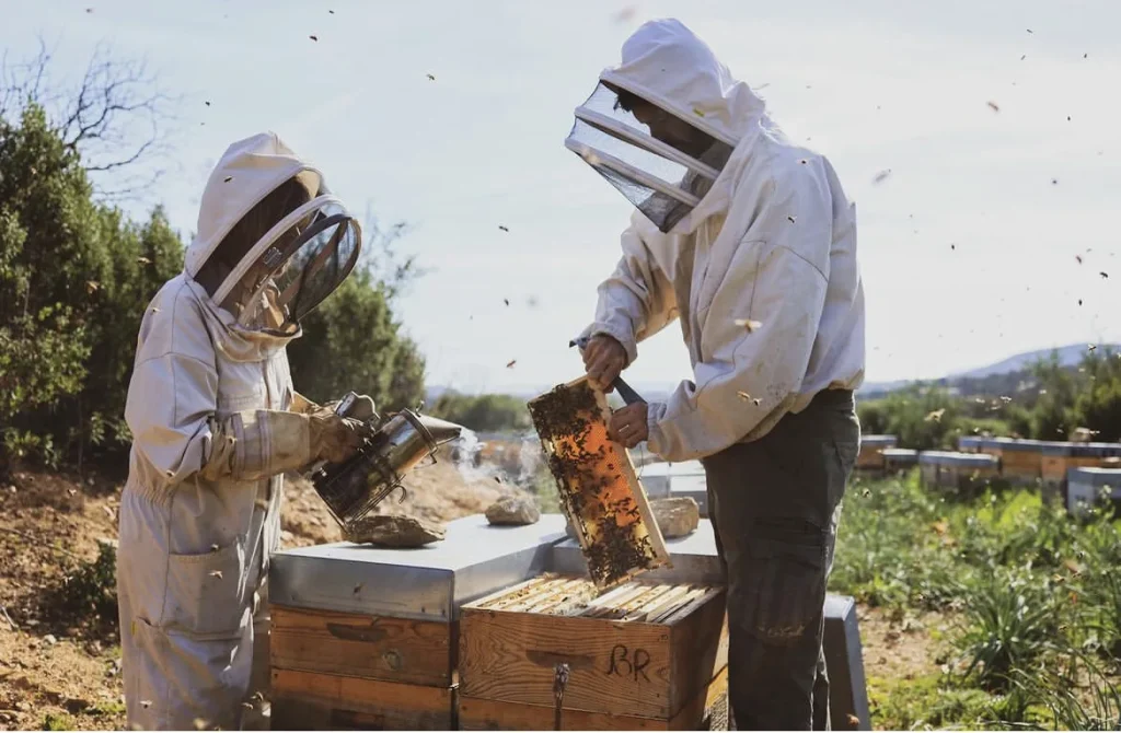 La Butinerie Bormes les Mimosas