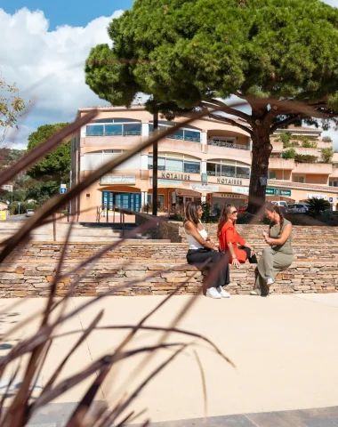 Le Pin de Bormes