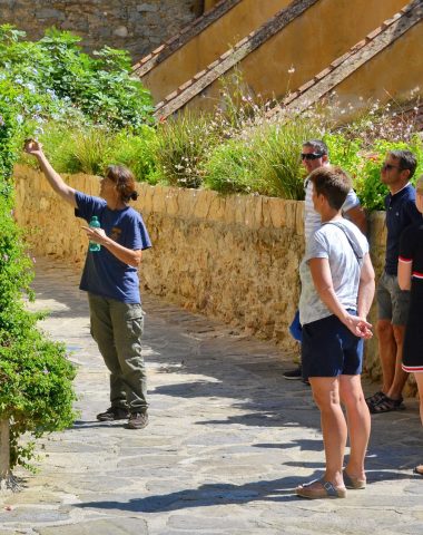 Visite guidée village Bormes les Mimosas