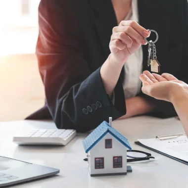 Agence immobilière Bormes les Mimosas