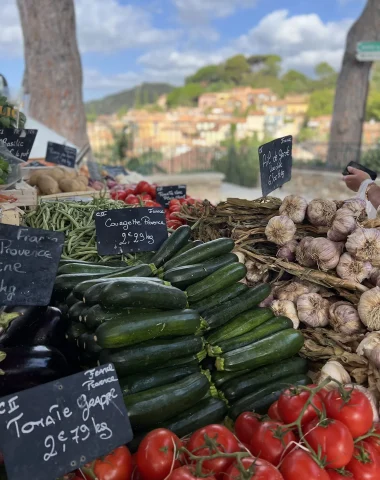 Marché Bormes les Mimosas