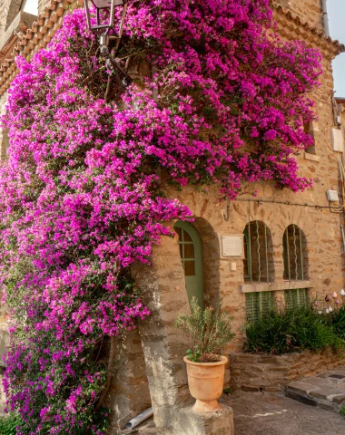 Village fleuri de Bormes les Mimosas