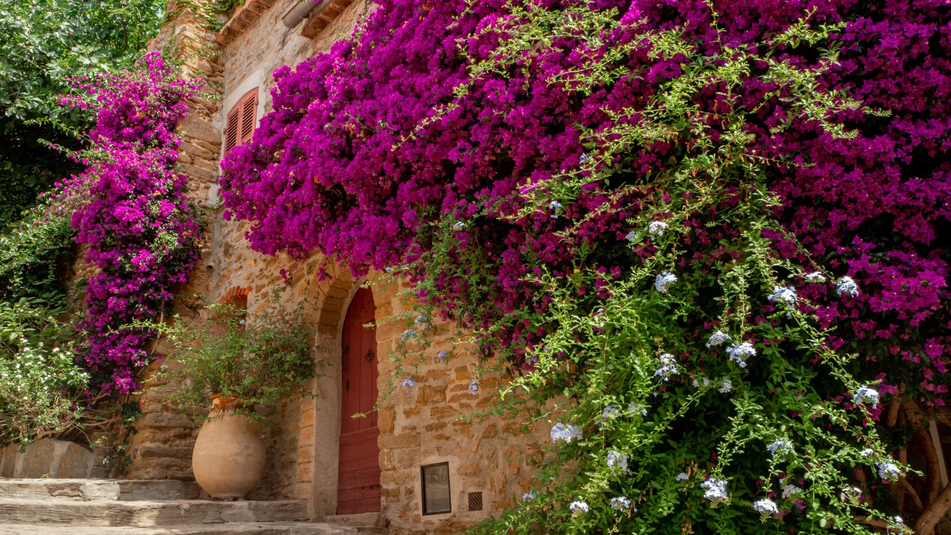 Village fleuri de Bormes les Mimosas