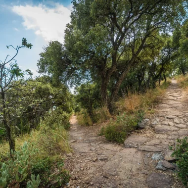 Massif des Maures Bormes les Mimosas