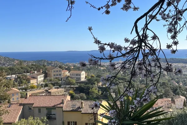 Vue du château de Bormes les Mimosas