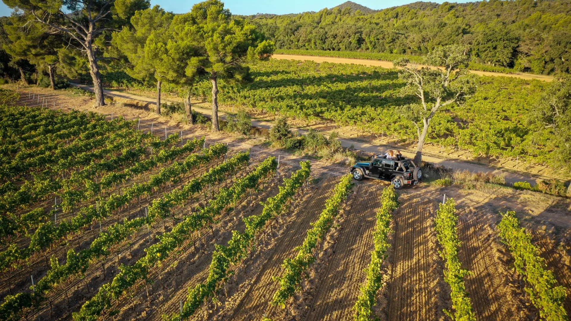 Une escapade en Provence Bormes