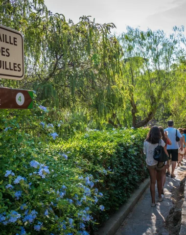 Activités en groupe à Bormes les Mimosas