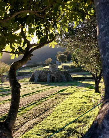 Rund um Bormes les Mimosas